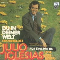 7 Vinyl Julio Iglesias / Du in deiner Welt