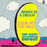 The Giant Jellybean Copout - Awake In A Dream / Look At The - 7"- MGM 61 187 (D) 1968