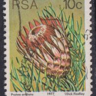Südafrika 521A O #061395