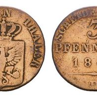 Brandenburg-Preußen 3 Pfennig1842 D Friedrich Wilhelm IV. (1840-1861)