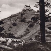 Alte Ansichtskarte Wurmlinger Berg Kapelle.( G2 )