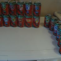 Komplett-Sammlung Coca Cola Fussball Sammeldosen 1-12 Ostfussball aus dem Jahr 2000