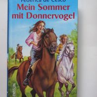 Mein Sommer mit Donnervogel - Jugendbuch