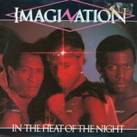 7 Vinyl Imagination / In the Heat of the Night