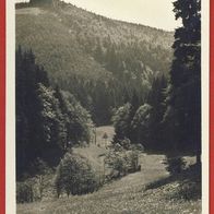Hohegeiss Partie im Wolfsbachtal n. gel..(3935)
