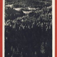 Langer Wald Sommerfrisiche Schneiderberg, Pension Joh. Seidel Lohberg n.. gel. (3947)