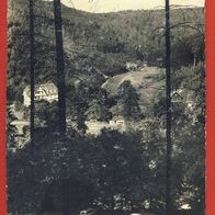 Monbachtal bei Bad Liebenzell im Schwarzwald gel (3986)