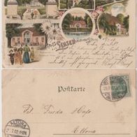 Lehsen-Wittenburg-Litho-AK-1902 mitRetaurant und Pensionat Wilms Erh.2