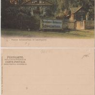 Tabarz-Hotel-Schweizerhaus-Lauchagrund um 1905 Pension und Restaurant farbig Erh.1