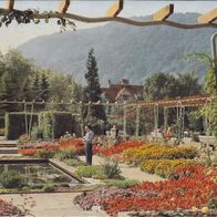 AK Bad Kreuznach-Oranienpark 1961. .( Nr 1 )