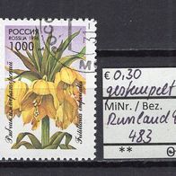 Russland 1996 Gartenblumen MiNr. 483 Bedarfsstempel