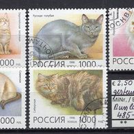 Russland 1996 Katzenrassen MiNr. 485 - 489 Bedarfsstempel