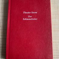 Buch, Der Schimmelreiter von Theodor Storm