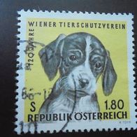 Österreich 1208 gestempelt - 120 Jahre Wiener Tierschutzverein Hund 1966