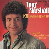 7 Vinyl Tony Marshall / Kilimandscharo