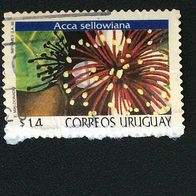 Uruguay MiNr. 2475 Blüten gestempelt M€ 4,00 sehr rar! #D507f