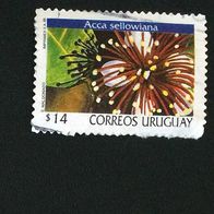 Uruguay MiNr. 2475 Blüten gestempelt M€ 4,00 sehr rar! #D508b