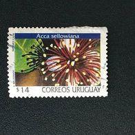 Uruguay MiNr. 2475 Blüten gestempelt M€ 4,00 sehr rar! #D508c