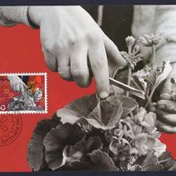 28) Liechtenstein Maximumkarte - MK 33/1982 - MiNr. 803 - Gartenbau