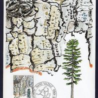 48) Liechtenstein Maximumkarte - MK 70/1986 - MiNr. 913 - Baumrinde - Weisstanne