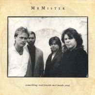 7 Vinyl Mr Mister / Something Real