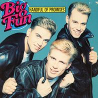 7 Vinyl Big Fun / Handful of Promises