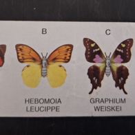 Ü - Ei Beipackzettel Schmetterlinge ohne Nr. K 93 A / EU