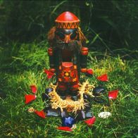 Angels Of Light & Akron/Family-Akron/Family & Angels Of Light (2005) US folk psych CD