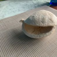 Papp Maché, Muscheldekoration, Muschel, Beachdeko, Badezimmerdeko