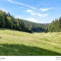 Ferienwohnung Thüringer Wald hat wieder freie Termine