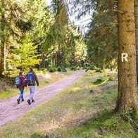 Ferienwohnung im Thüringer Wald Ilmenau für den Frühling jetzt buchen