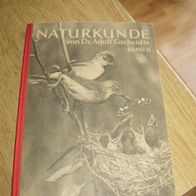 Gscheidle Band 2 1955 TOP