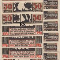 Naumburg. Notgeld 9x50 Pfennig von 1921, 9 Scheine mit Abb. RS