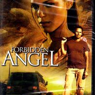 DVD - Forbidden Angel - David Heavener, Amanda Righetti, Marc Singer