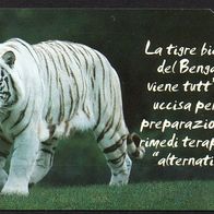 TK Telefonkarte gebraucht - Italien - Tiger