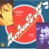 7 Vinyl The Blow Monkeys / The Day after You