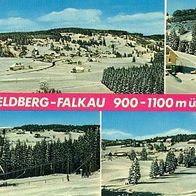 79868 Feldberg - Falkau 4 Ansichten um 1970 Winterpanorama