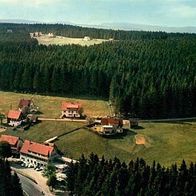 72250 Freudenstadt - Kniebis im Schwarzwald Gasthof und Pension > Waldhorn < 1964