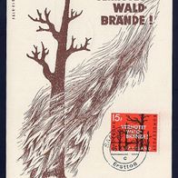 3) Saarland (BRD) - Maximumkarte 1958 - MiNr. 431 - Verhütet Waldbrände (2)