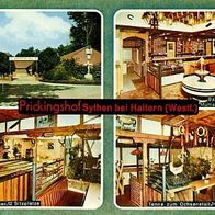 45721 Haltern am See - Sythen EWG - Musterhof > Prickingshof < 1969