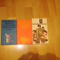 Peter Handke der kurze Brief Hornissen Elfenbeinturm 3x TB