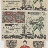 Neustrelitz-Notgeld 25,50,50 Pfennig 3 verschiedene Scheine vom 01.10.1920