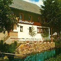 779837 Sankt Blasien - Menzenschwand Schwarzwald Gasthof Pension > Forellenhof <