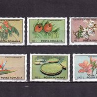 Rumänien MiNr. 5129-5134 Pflanzen Bukarest postfrisch M€ 4,50 #J59a