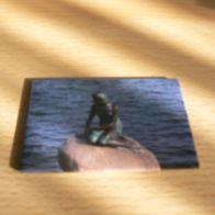 Magnet Kühlschrankmagnet Kopenhagen Kleine Meerjungfrau Neu