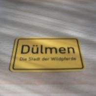 Magnet Kühlschrankmagnet Ortsschild Dülmen Neu
