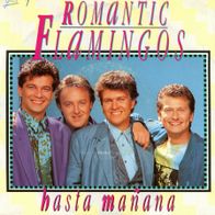7 Vinyl Romantic Flamingos / Hasta Manana
