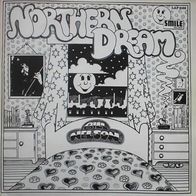 Bill Nelson (Be Bop Deluxe) - Northern Dream (1971) UK psych folk rock LP Smile