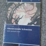 Abstürzende Schweine: Lyrik spirituell erlebt