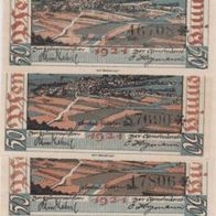 Oberlind-Notgeld 4x50 Pfennig von 1921, 4Scheine